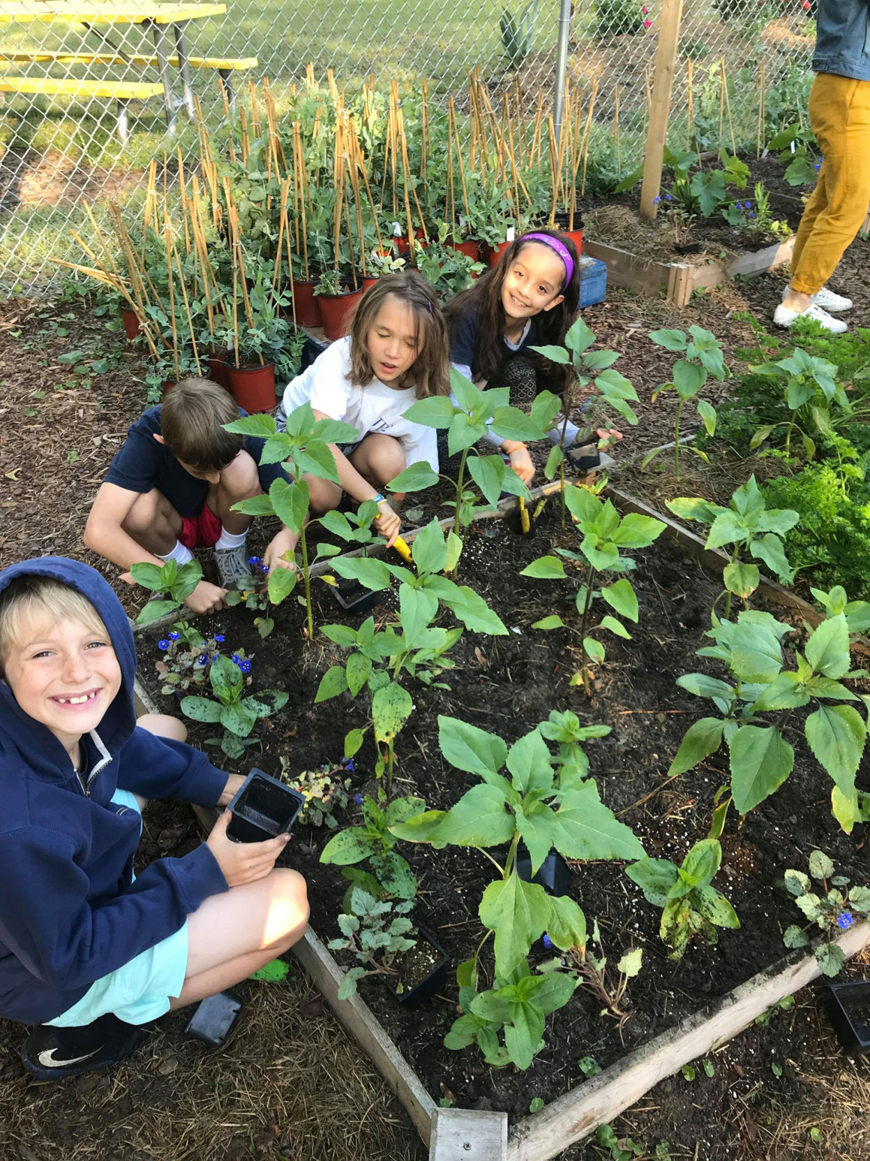 Gardening